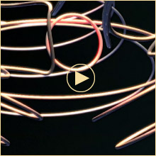 Goats Eating Lemons In The Tub - (Short - NSFW?)