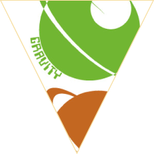 Gravity Logo
