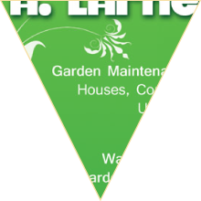 Ad in El Sol Newspaper, Fuerteventura